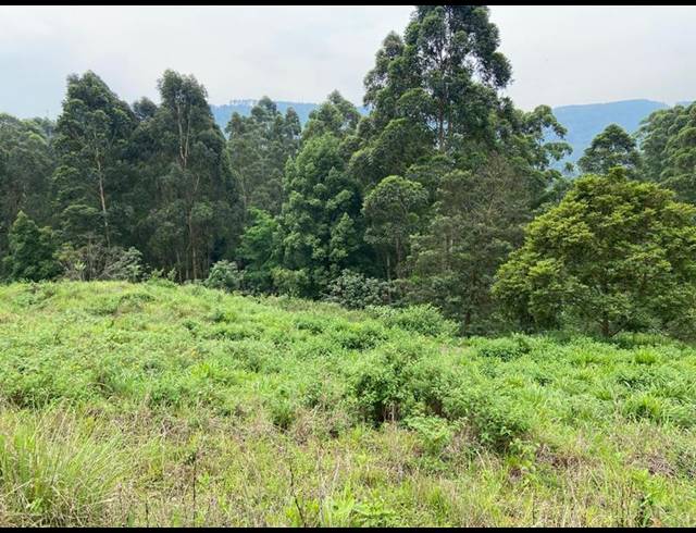 LAND FOR SALE IN MONTROSE